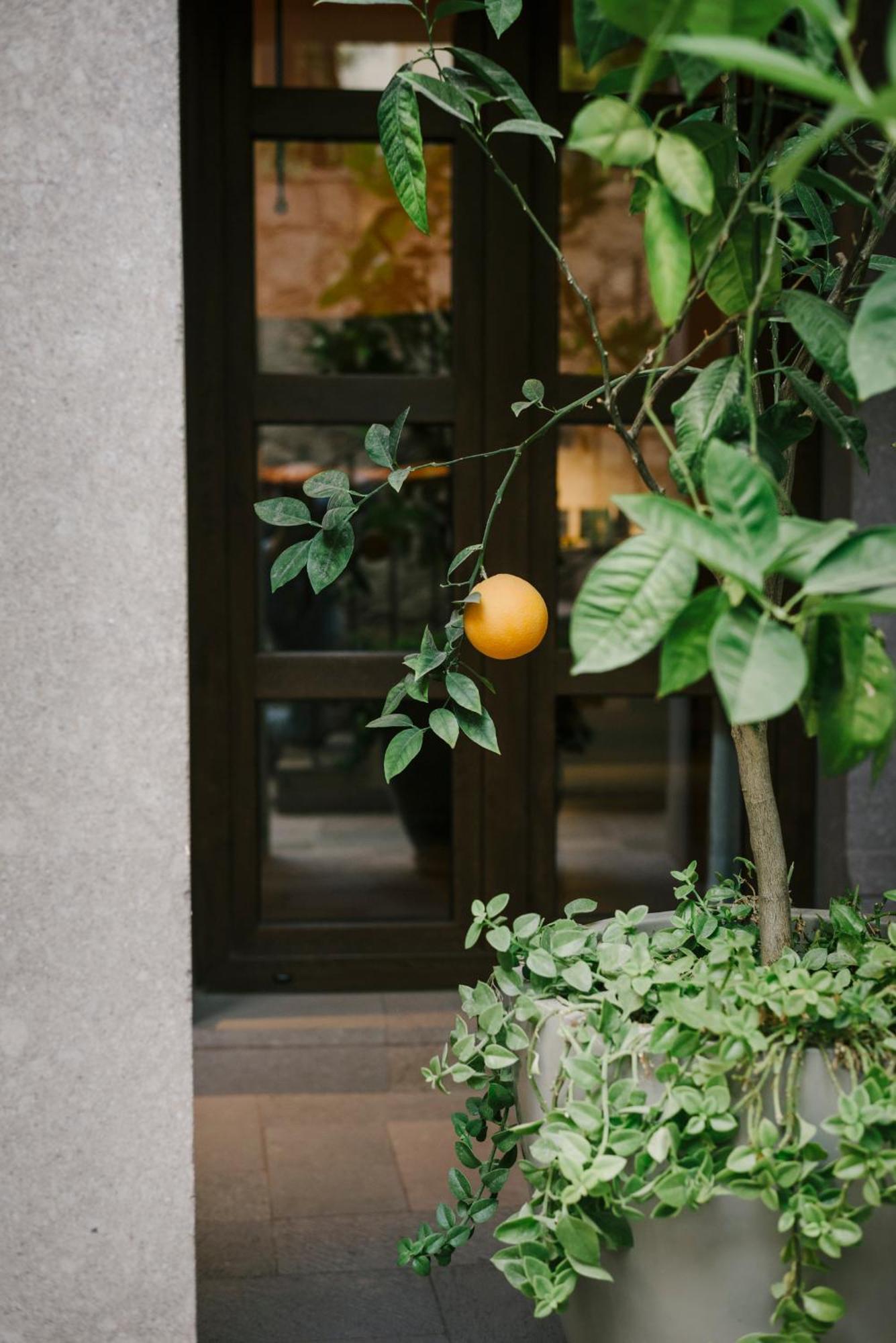 סאן מיגל דה אלנדה Hotel Apapacho Boutique מראה חיצוני תמונה